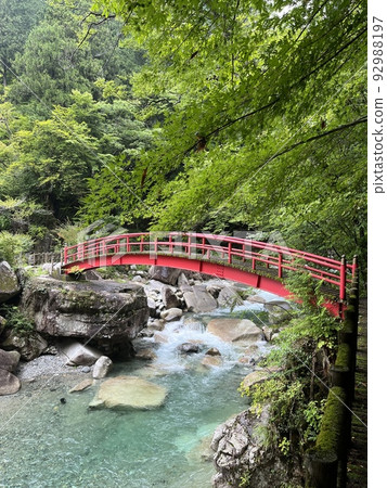 湯森公園的秋葉橋 92988197