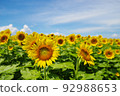 Summer flowers 92988653