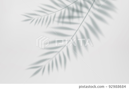 Empty studio abstract background Empty studio abstract background 92988684