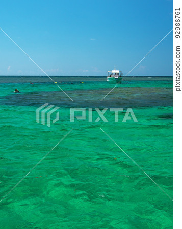 Snorkeling at the emerald green Sekisei Lagoon Snorkeling at the emerald green Sekisei Lagoon 92988761