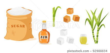 Set of sugar cane products isolated on white. Set of sugar cane products isolated on white. 92988834