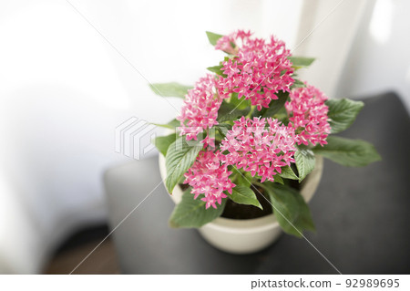 窗邊的紅色五角星 窗邊的紅色五角星 92989695