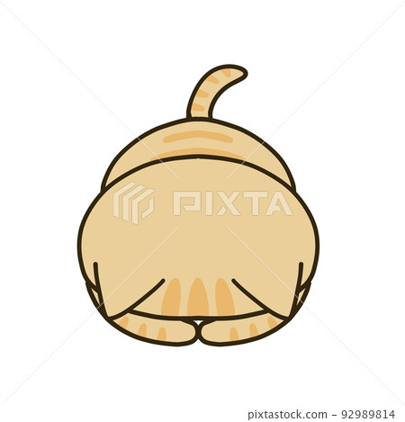 做跪著的棕色虎斑貓 92989814