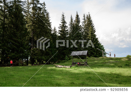 A colorful swing for two in the Carpathians, Carpathian landscapes. A colorful swing for two in the Carpathians, Carpathian landscapes. 92989856