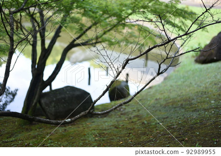 A garden 92989955