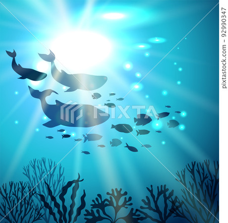 Cute blue whale, dolphin, fish and corals. World Ocean Day June 8. Tropical square poster with landscape of underwater world and marine animals. Vector illustration for design, decor, flyer. Cute blue whale, dolphin, fish and corals. World Ocean Day June 8. Tropical square poster with landscape of underwater world and marine animals. Vector illustration for design, decor, flyer. 92990347