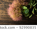 I hope the freshly cut smoke tree will become a beautiful dried flower! 92990835