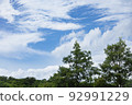 Refreshing blue sky and summer trees 92991229
