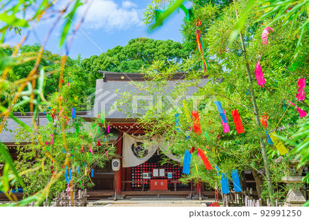 Tanabata Festival, Tomib Shrine in summer <Nagoya City, Aichi Prefecture> Tanabata Festival, Tomib Shrine in summer <Nagoya City, Aichi Prefecture> 92991250