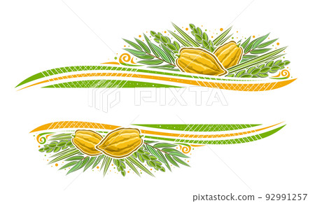 Vector border for Sukkot Vector border for Sukkot 92991257