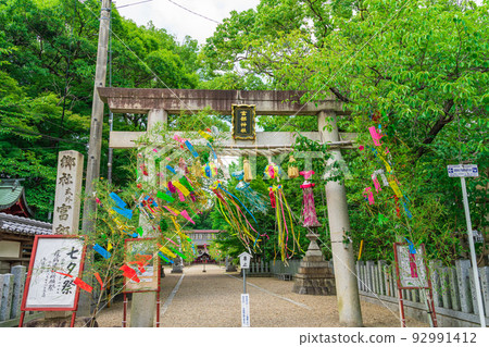 夏季的七夕節，通美神社<愛知縣名古屋市> 92991412