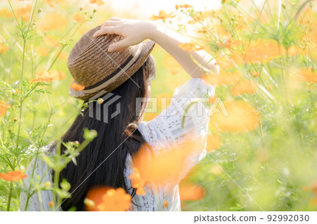 黃色波斯菊和女人的背影 黃色波斯菊和女人的背影 92992030