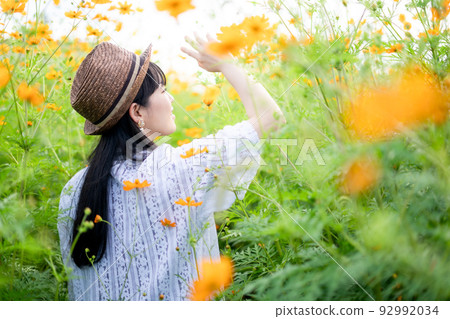 黃色波斯菊和女人的背影 黃色波斯菊和女人的背影 92992034