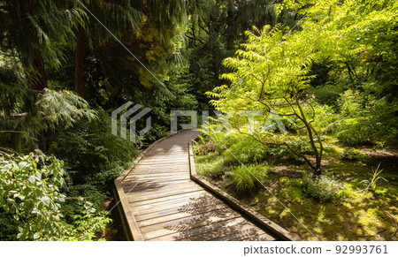 Sendall Gardens in a modern suburban city park. Summer season. Sendall Gardens in a modern suburban city park. Summer season. 92993761