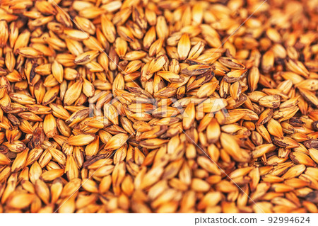 Background with grains of roasted caramel malt Background with grains of roasted caramel malt 92994624