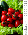Cherry tomatoes, cucumbers and green salad leaves. Fresh harvest. 92994911
