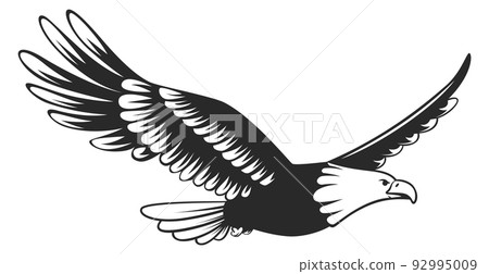 Flying eagle logo. Black power bird symbol 92995009
