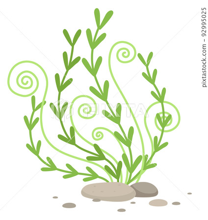 Aquatic plant. Marine algae. Cartoon green seaweed Aquatic plant. Marine algae. Cartoon green seaweed 92995025