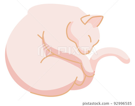 Cat curled up. Fur fluffy ball. Sleeping pet Cat curled up. Fur fluffy ball. Sleeping pet 92996585