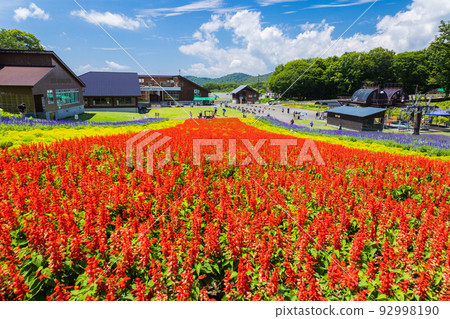 Salvia的花園 92998190