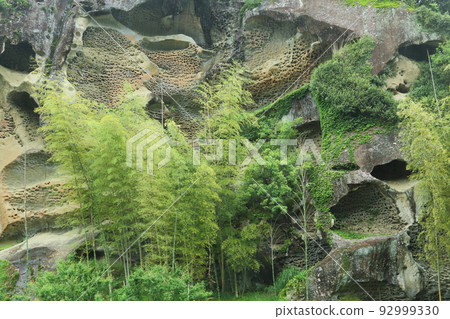 高池的蟲葵岩 高池的蟲葵岩 92999330