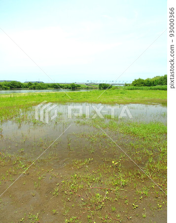 Edogawa riverbed scenery after rain in early summer with puddles 93000366