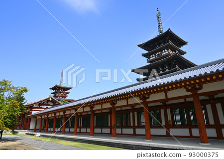 National Treasure East Pagoda and West Pagoda of World Cultural Heritage Yakushiji Temple in Nara City 93000375