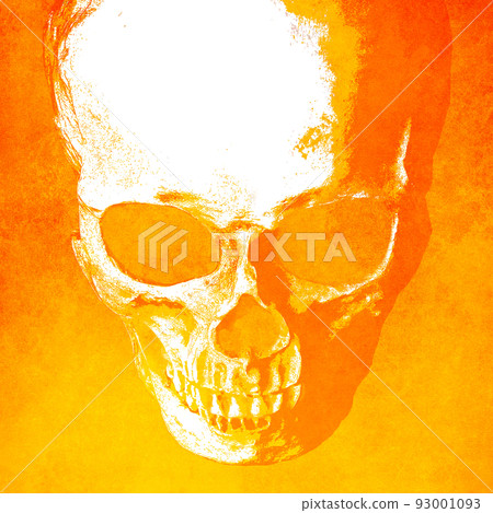 skull material skull material 93001093
