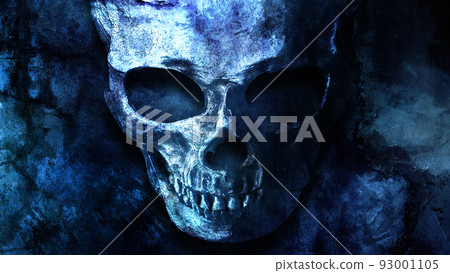 skull material 93001105