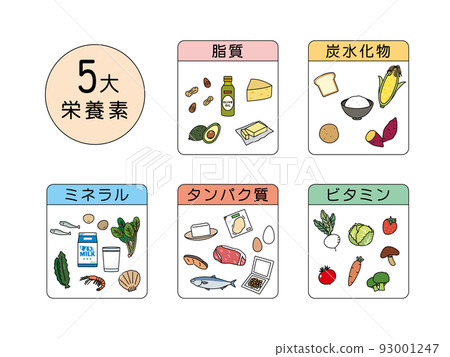 五種主要營養素成分食品營養平衡成分說明 93001247