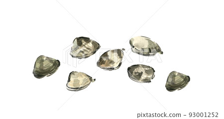 Clam [hand-painted watercolor] white back transparent background PNG 93001252
