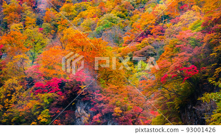 Kinshu Kinshu 93001426