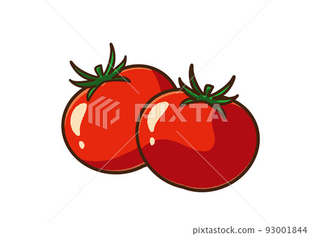 Tomato illustration 93001844