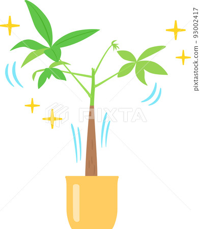 健康的觀葉植物 93002417