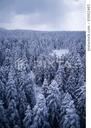 mountain covered with snow in uludag mountain 93002465