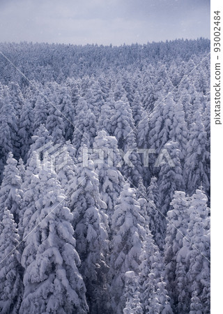 mountain covered with snow in uludag mountain 93002484