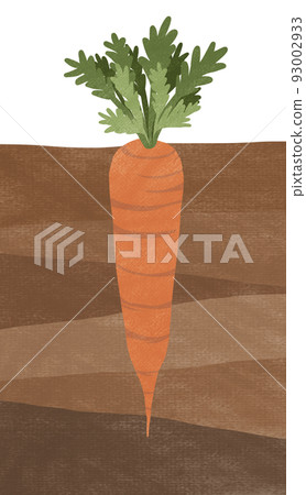 胡蘿蔔田的插圖（帶紋理） 93002933