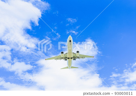 "Airplane" Boeing Boeing 737-800 (737NG) 93003011