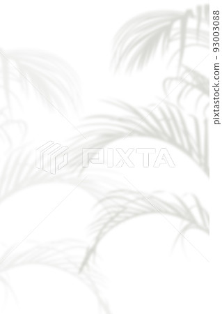 Abstract background of natural shadows tropical leaves overlay on a white wall background, summer seasonal concept. 93003088