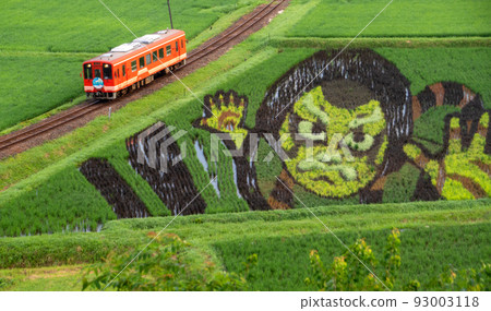 穿過稻田藝術的長良川鐵道列車 93003118