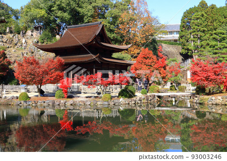 Autumn leaves of Kokeizan Eihoji Temple in Tajimi City 93003246