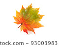 Autumn maple leaf 93003983