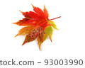 Autumn maple leaf 93003990