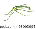Garlic arrows 93003995