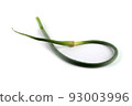 Garlic arrow 93003996