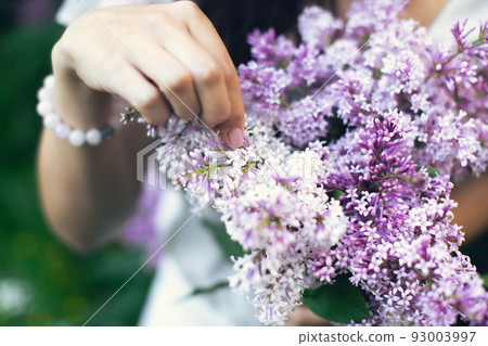 Hands of an attractive woman with a bouquet of lilacs. Spring and summer, seasonal photos. Front view. 93003997