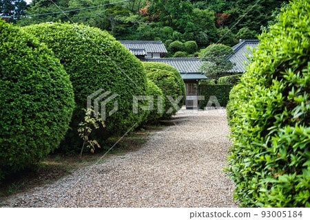 千宿寺_大圓杜鵑 93005184