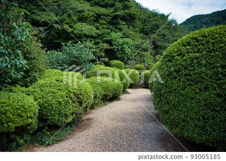Funajuku Temple_Round azalea trees 93005185