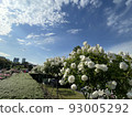 Landmark Tower and Yamashita Park Rose Garden 93005292
