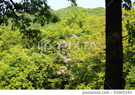 長瀞（堀島公園） 93005345